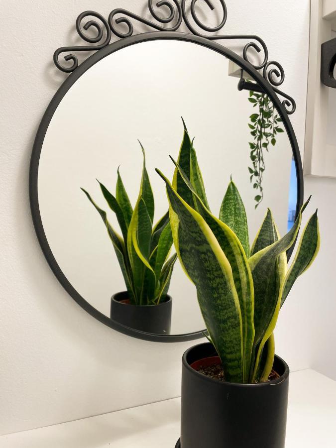 Stylish City View Apartment * Bellela * 코츌라 외부 사진